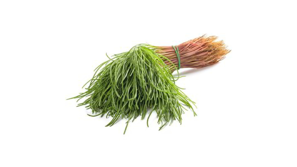 Agretti