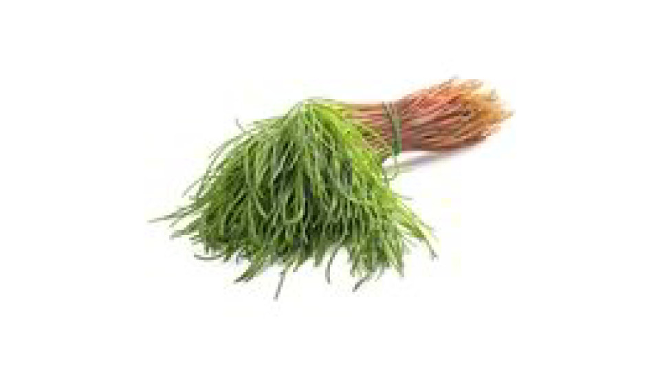 Agretti