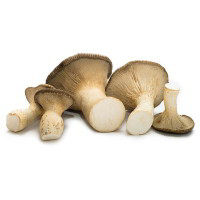 Funghi cardoncelli