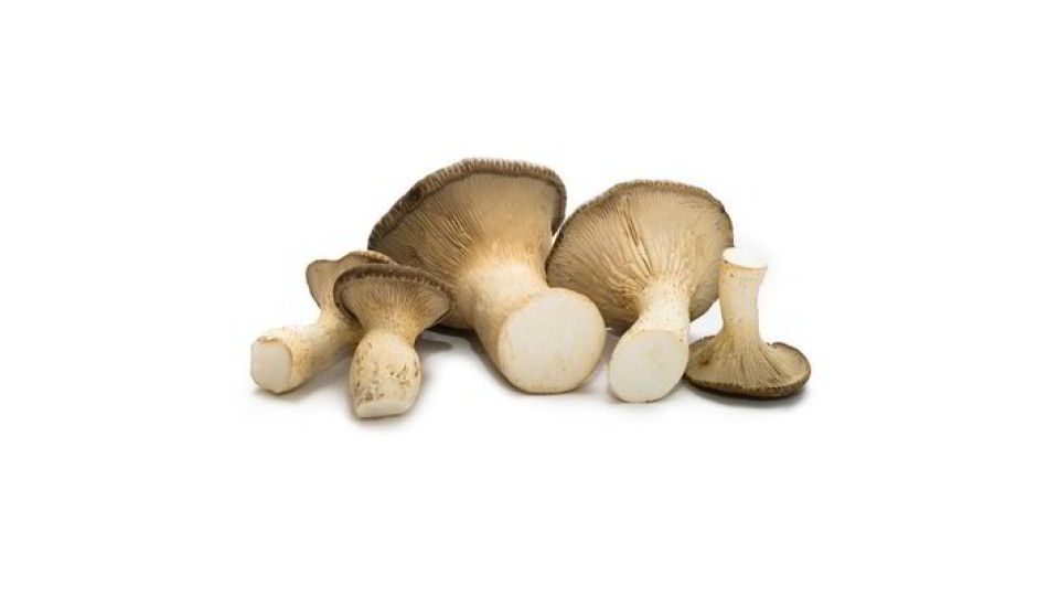Funghi cardoncelli
