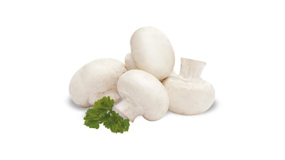 Funghi champignon prataioli coltivati
