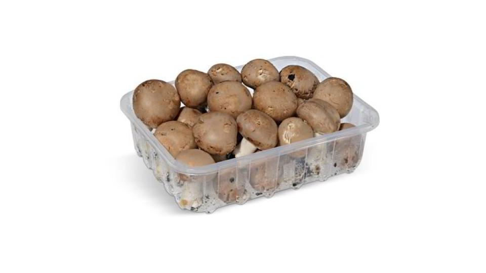 Funghi prataioli coltivati crema