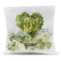 Insalata cuore di scarola