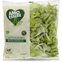 Insalata lattughino Bio