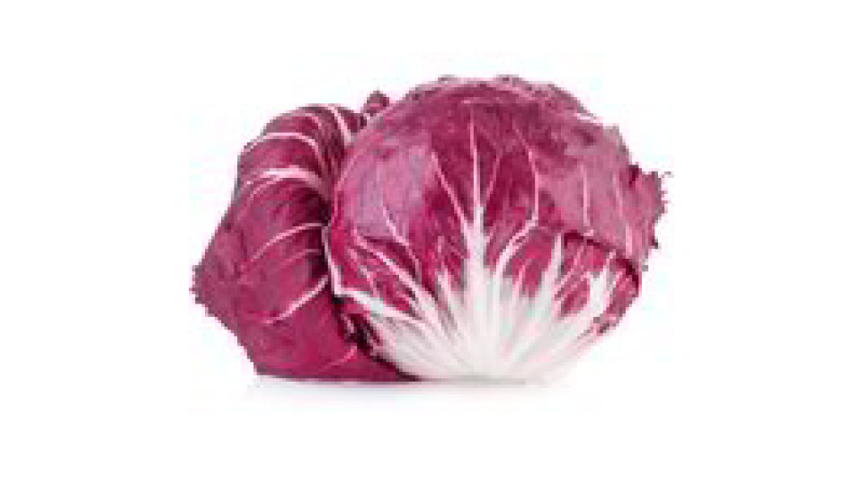 Radicchio di Chioggia IGP