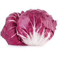 Radicchio di Chioggia IGP
