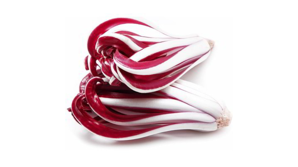 Radicchio rosso tardivo
