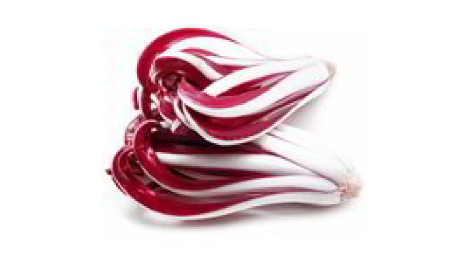 Radicchio rosso tardivo