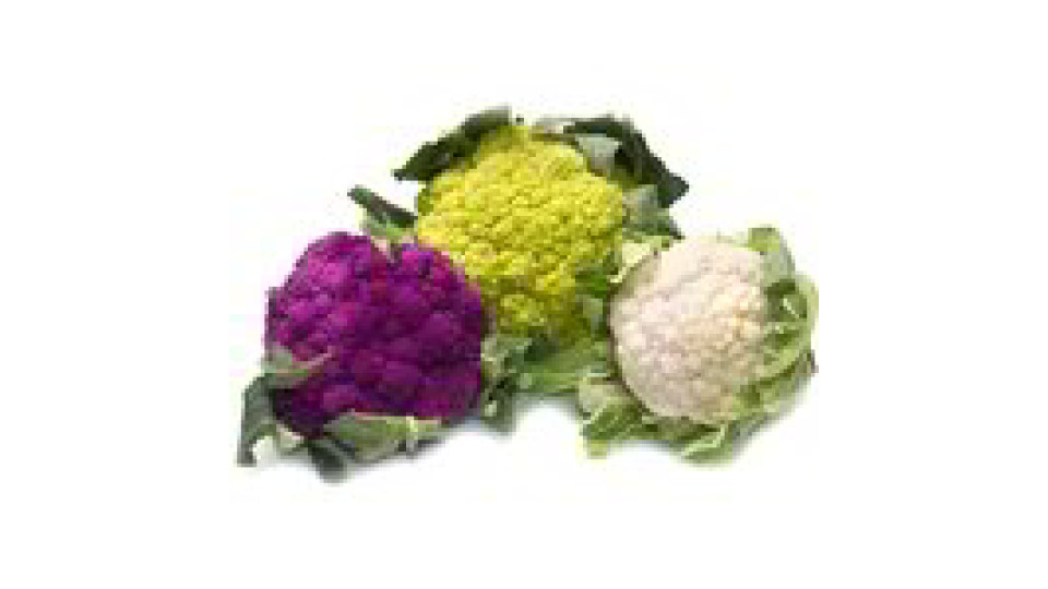 Rosette miste di cavolo