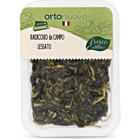 Radicchio da campo lessato