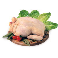 Busto di pollo