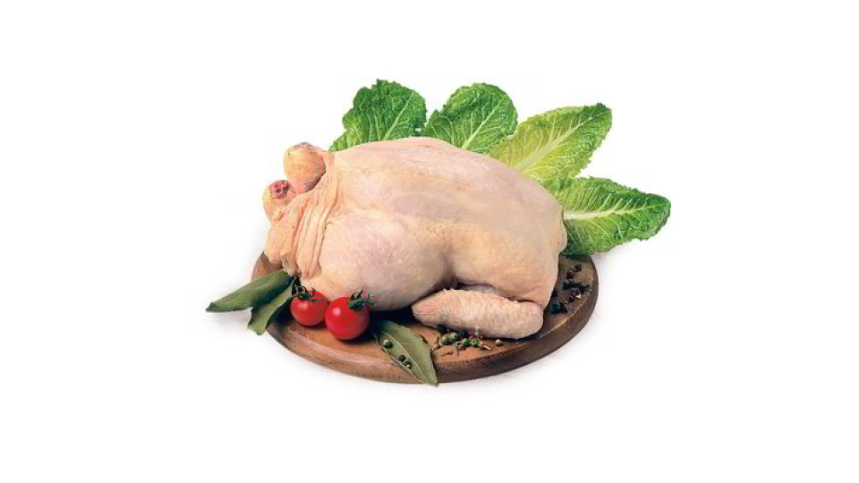 Busto di pollo