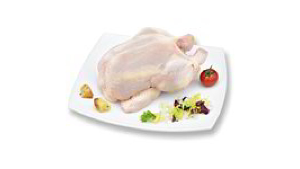 Busto di pollo halal
