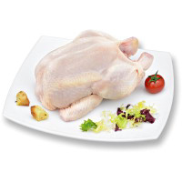 Busto di pollo halal