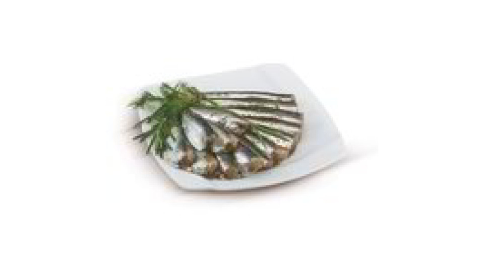 Sarde fresche pulite