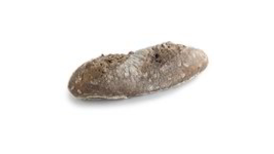Filoncino scuro di segale