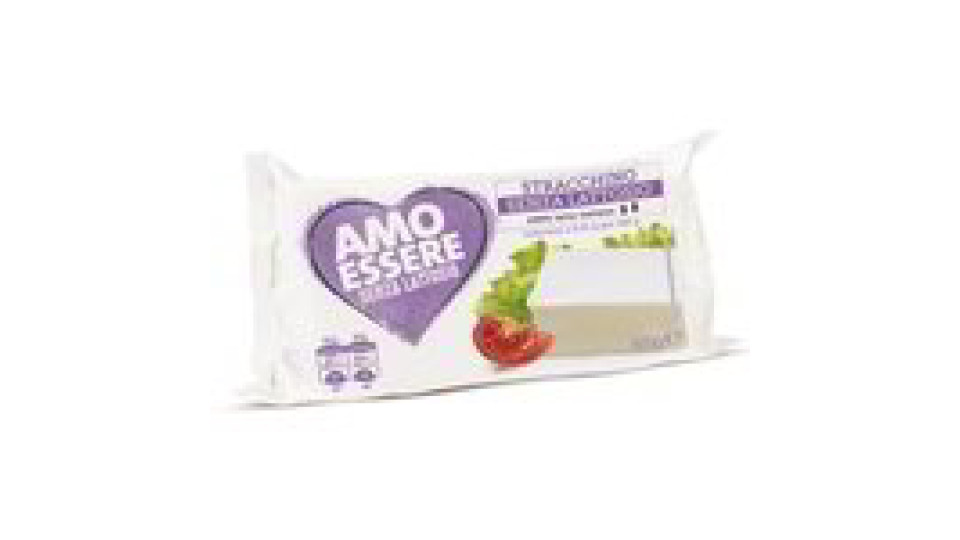 Formaggio stracchino senza lattosio