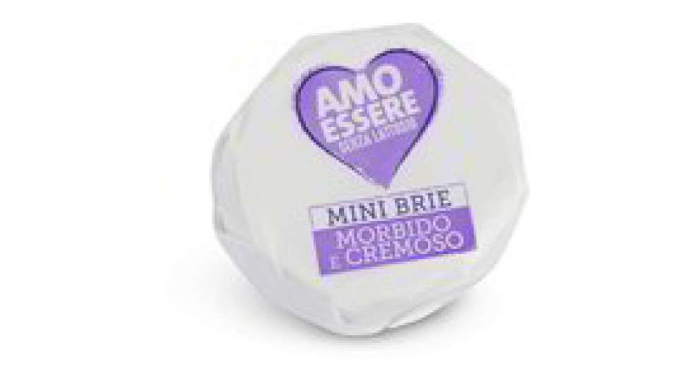 Formaggio brie mini senza lattosio
