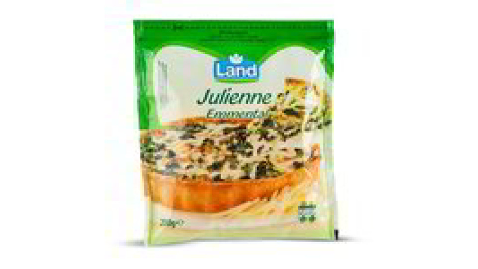 Formaggio Emmental a julienne