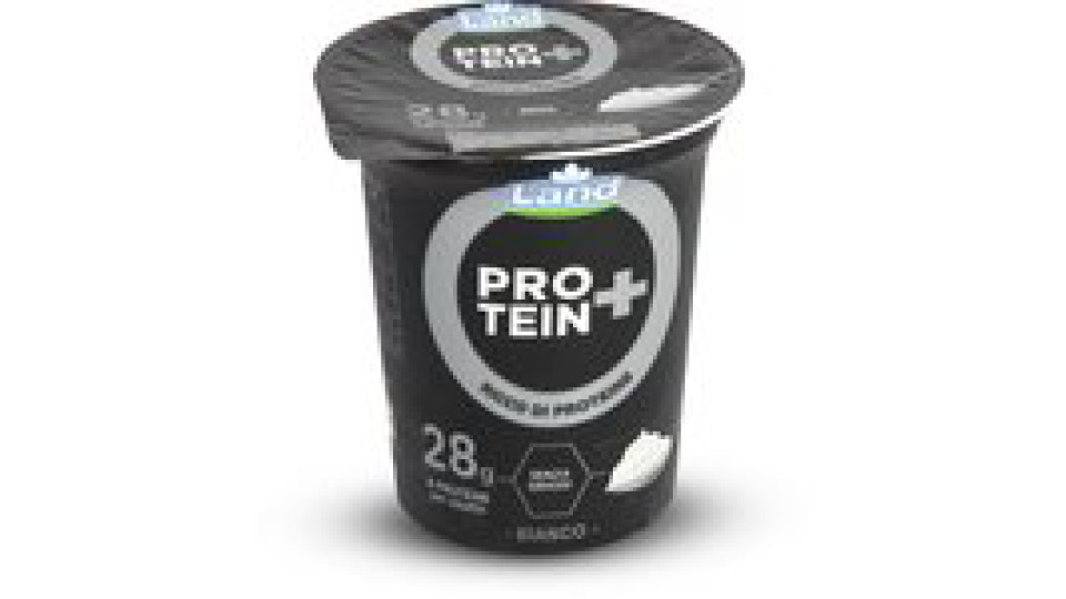 Formaggio fresco proteico bianco