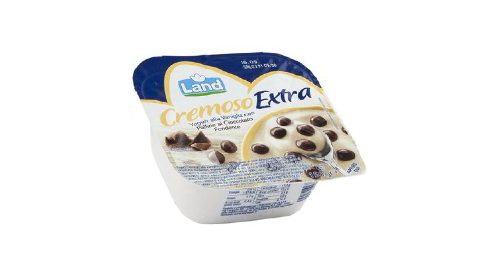 Yogurt alla vaniglia con palline al cioccolato fondente
