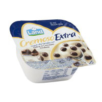 Yogurt alla vaniglia con palline al cioccolato fondente