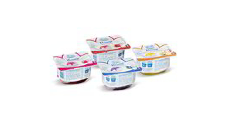 Yogurt mousse vari gusti