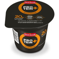 Budino proteico caramello