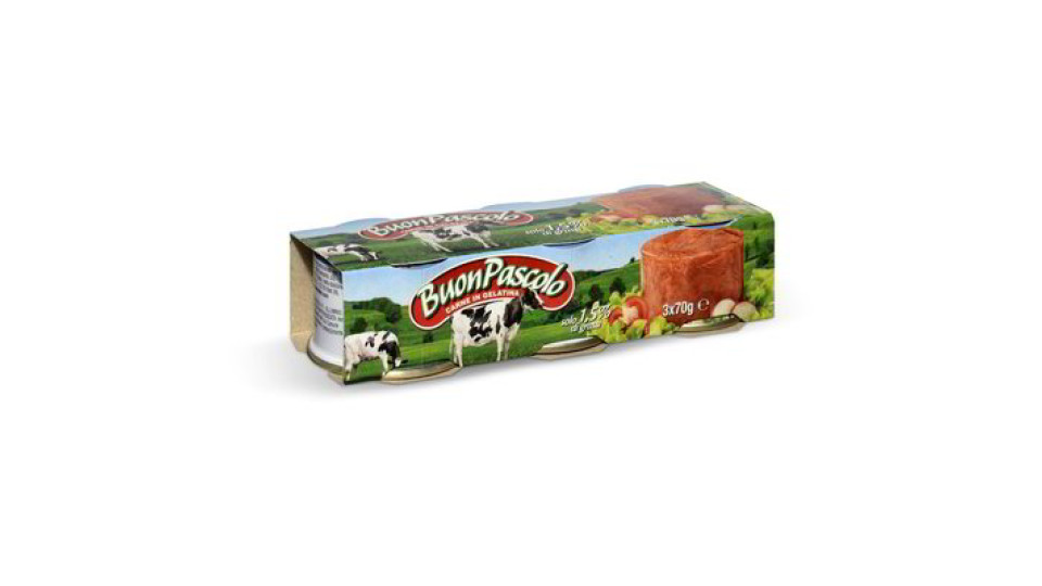 Carne bovina in gelatina