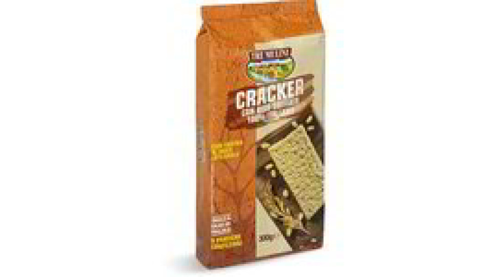 Cracker con riso soffiato