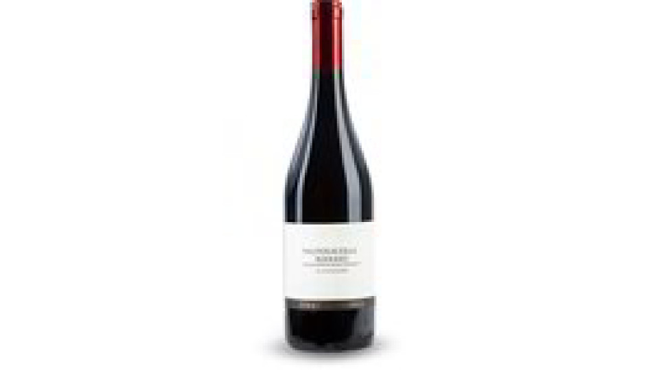 Valpolicella Ripasso superiore DOC
