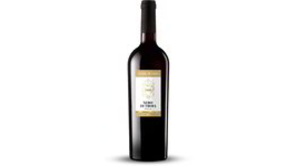 Vino Nero di Troia Puglia IGP