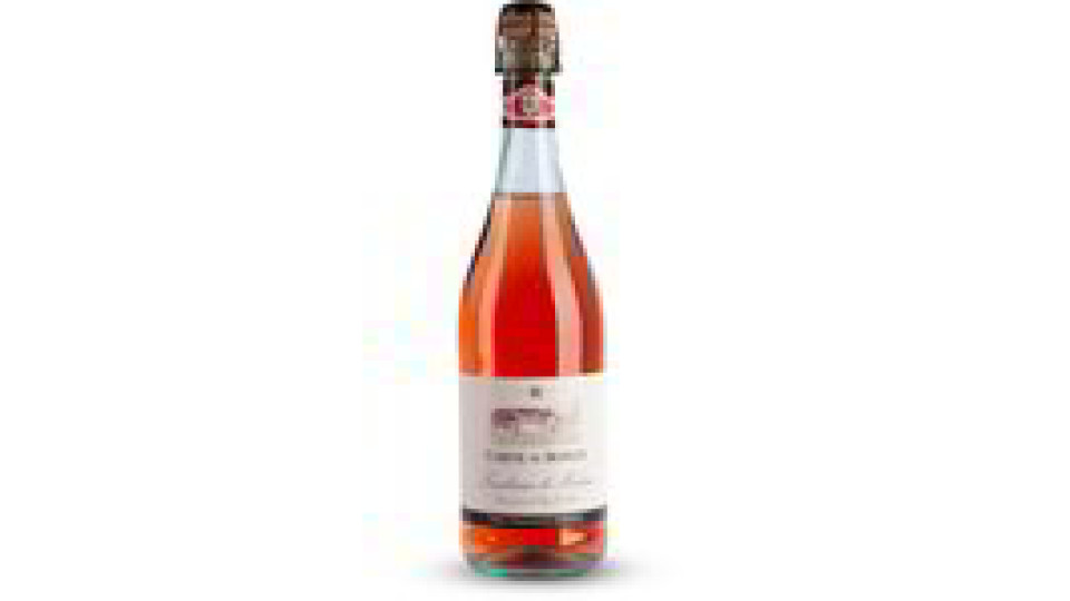 Vino Lambrusco di Modena DOP