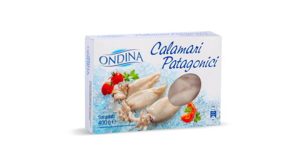 Calamari patagonici interi surgelati