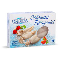 Calamari patagonici interi surgelati