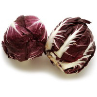 Radicchio veronese