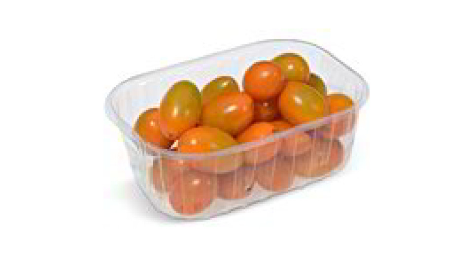 POMODORO DATTERINO GIALLO