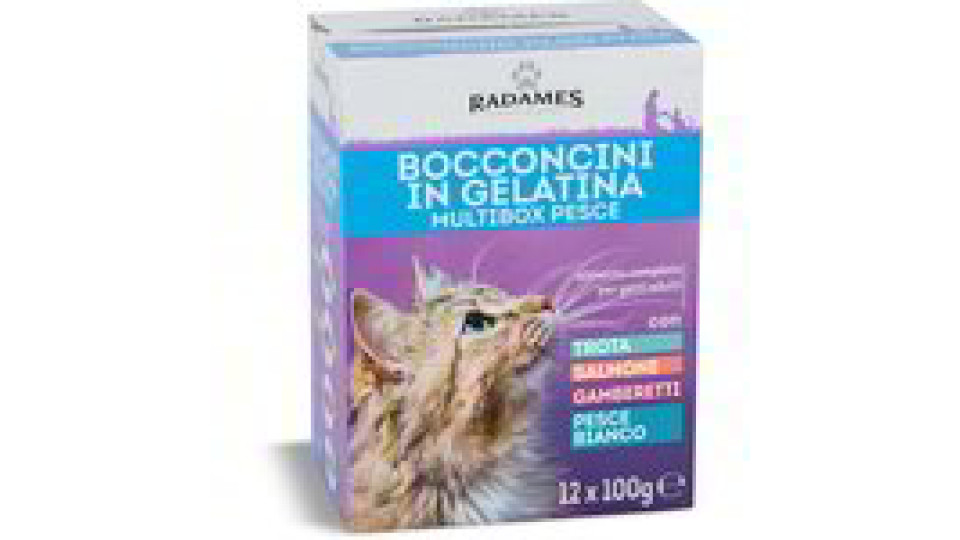 Bocconcini in gelatina per gatti multibox pesce