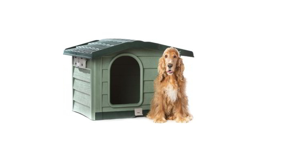 Cuccia Bungalow medium verde