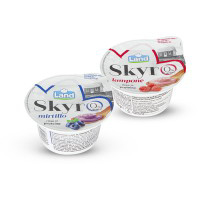 Skyr lampone/mirtillo