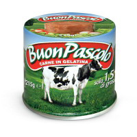 Carne bovina in gelatina