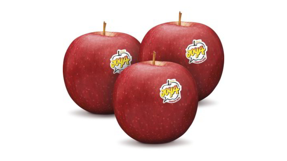 Mele Cripps Red Joya