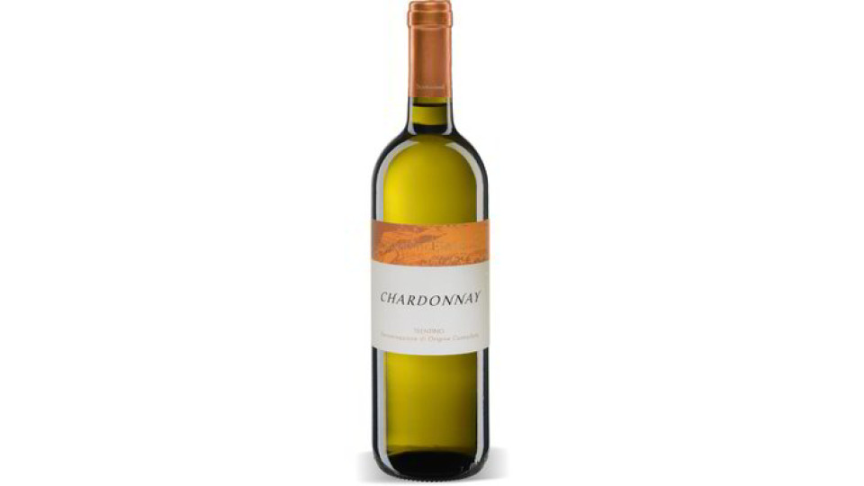 Vino Chardonnay DOC