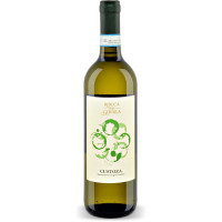 Vino Custoza DOC