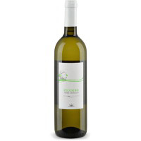 Vino Pecorino IGT