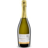 Vino Prosecco Valdobbiadene Superiore DOCG