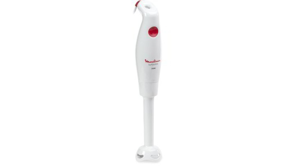 Mixer ad immersione 350W "Moulinex"