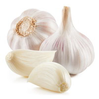 Aglio fresco