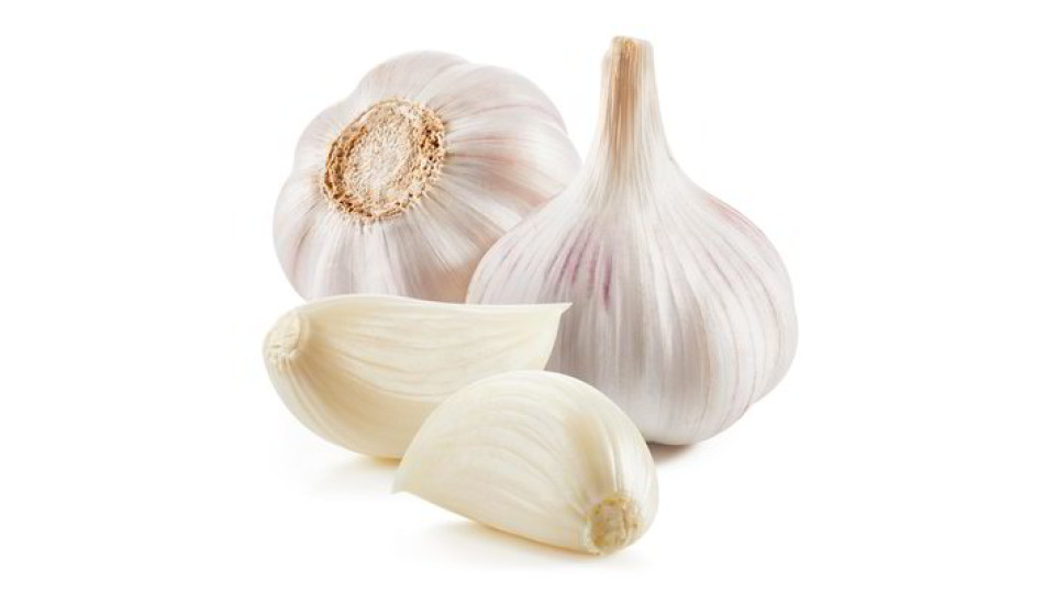 Aglio fresco
