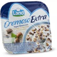 Yogurt bianco con granella di nocciole e cioccolato